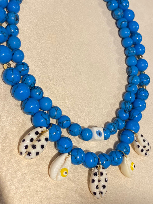 POLKA SHELLS NC