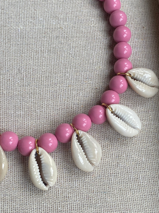 PINKISH SHELL NC