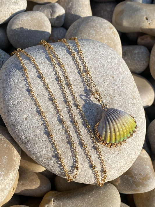 SHELL GOLD NECKLACE